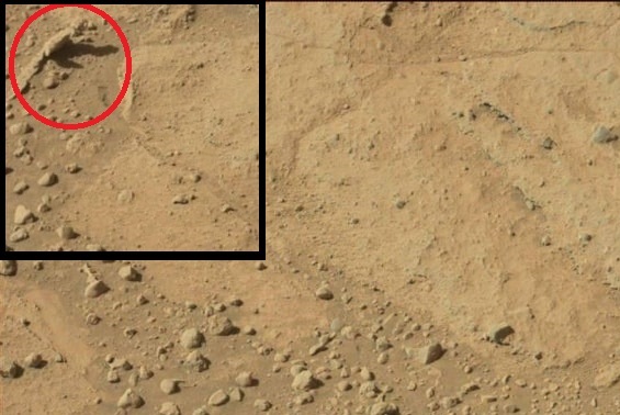 Raw NASA image of what appears to be a lizard - reptile crawling on the surface of Mars.
