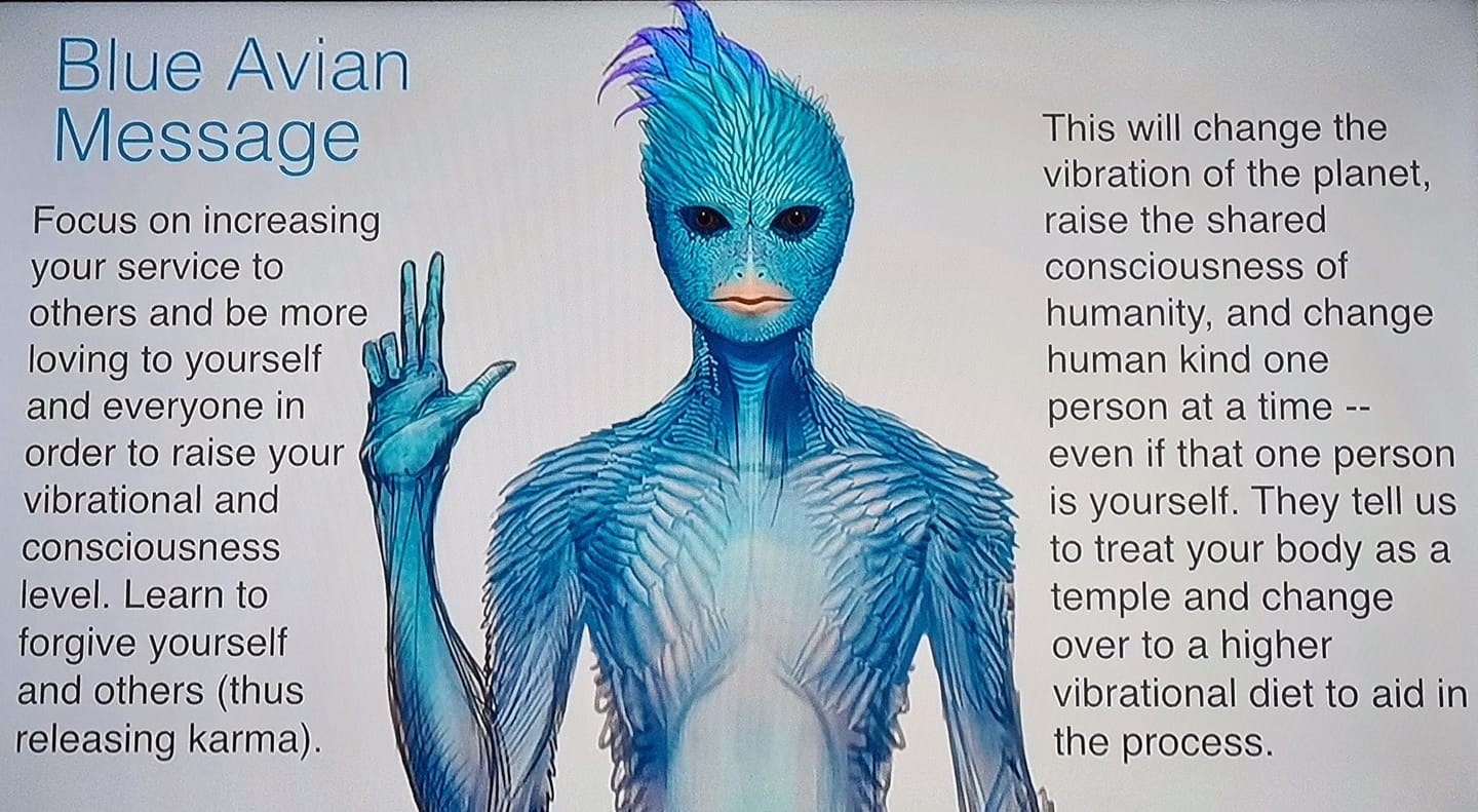 Blue Avian Message