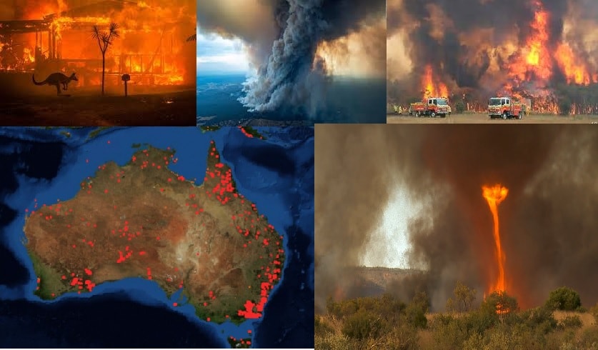 Photo Collage Australian Wild Fires