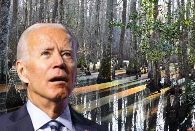 Joe Biden Lost in the Swamp