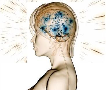 brain