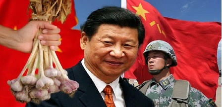 Chinese Garlic