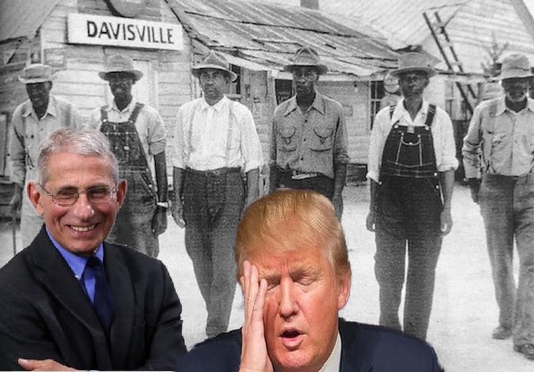 Fauci paralells to Tuskegee Syphlis Study