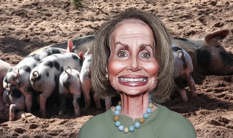 Nancv Pelosi Pigs and Sow
