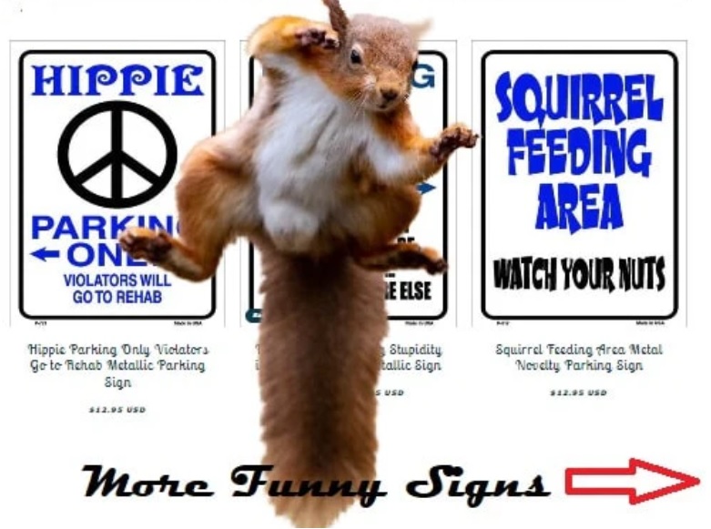 Novelty License Plates