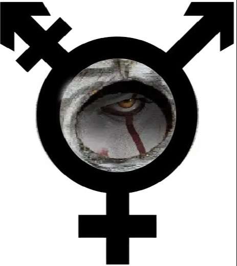 Transgender Symbol