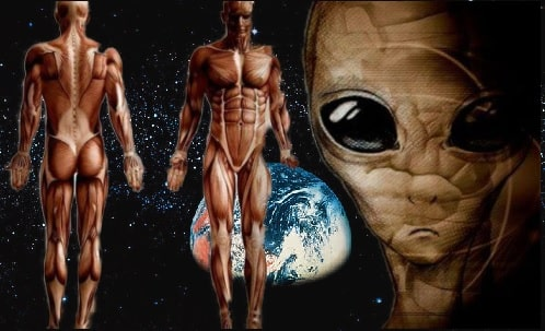 ./image_1774723132057