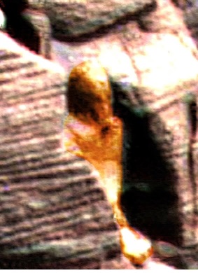 Color enhanced Image of what appears to be a statue on Mars