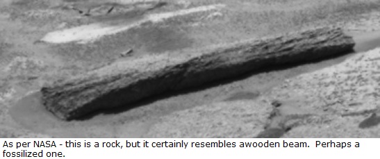 Possible wooden beam similar to a landscaping or railroad tie photographed on Mars