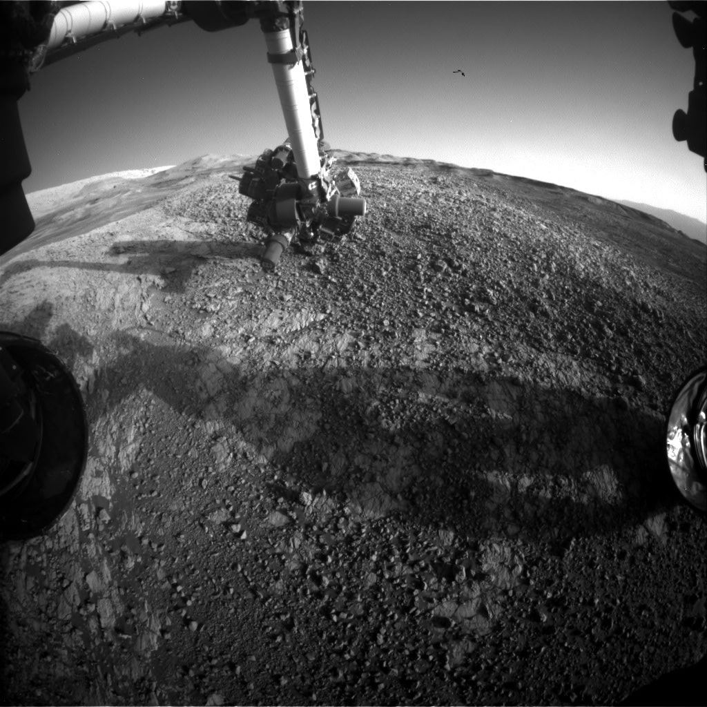NASA Rover Image - Bird in Background?