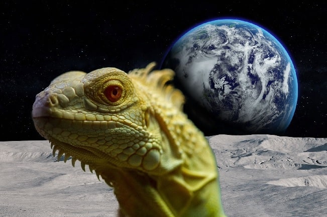 Lizard People