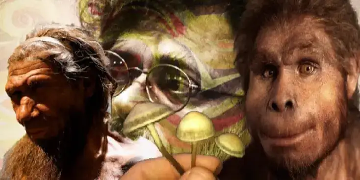 Primitive Humans